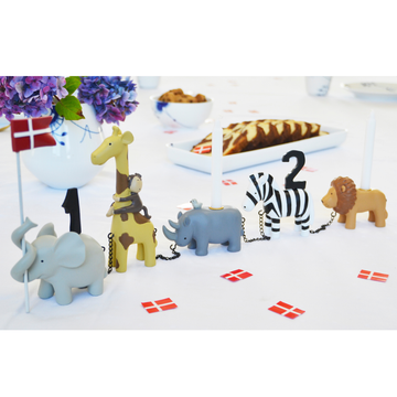Fødselsdagstog Safari