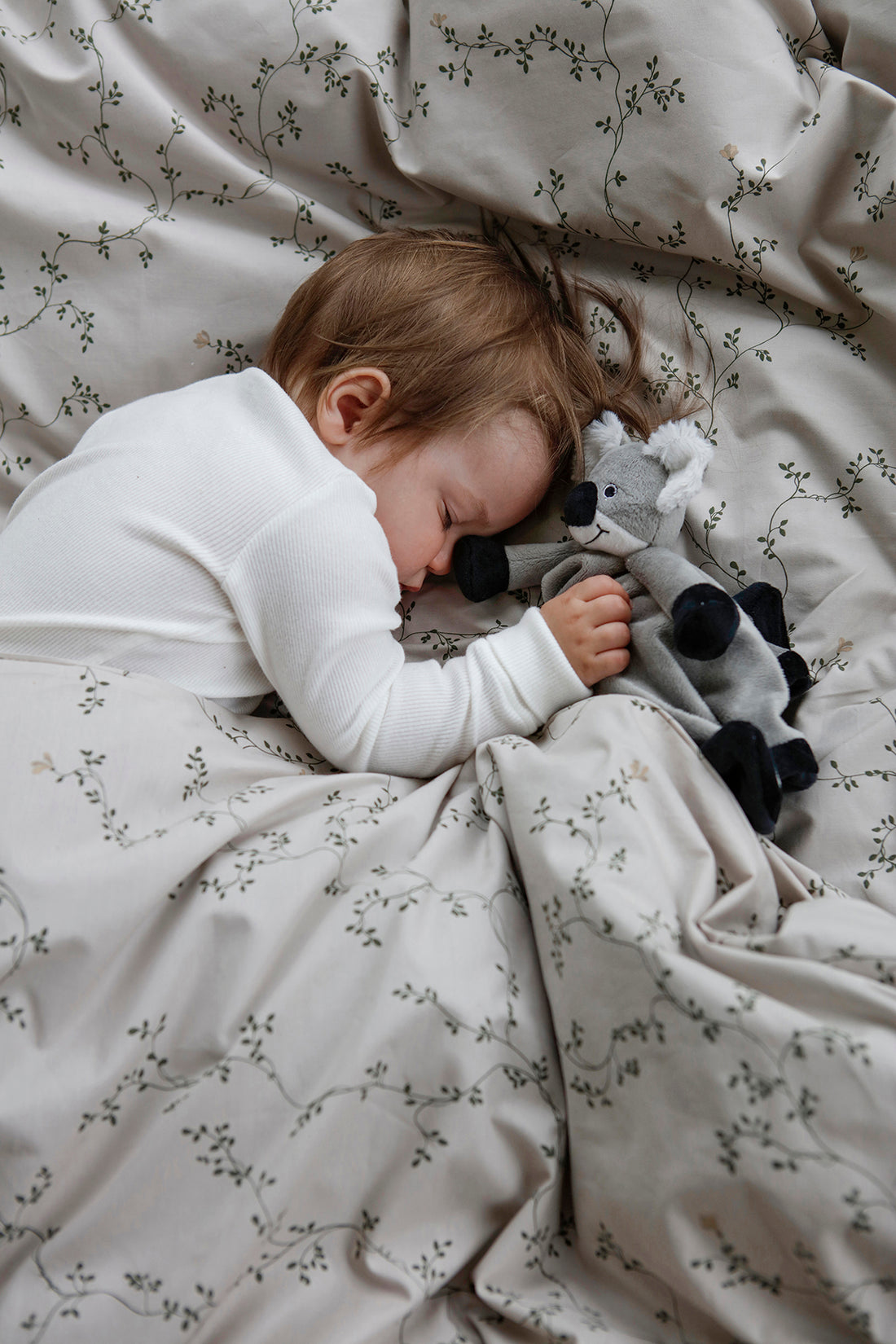 Diinglisar SE - Nusseklud, Koala Alm produkt scanstyle