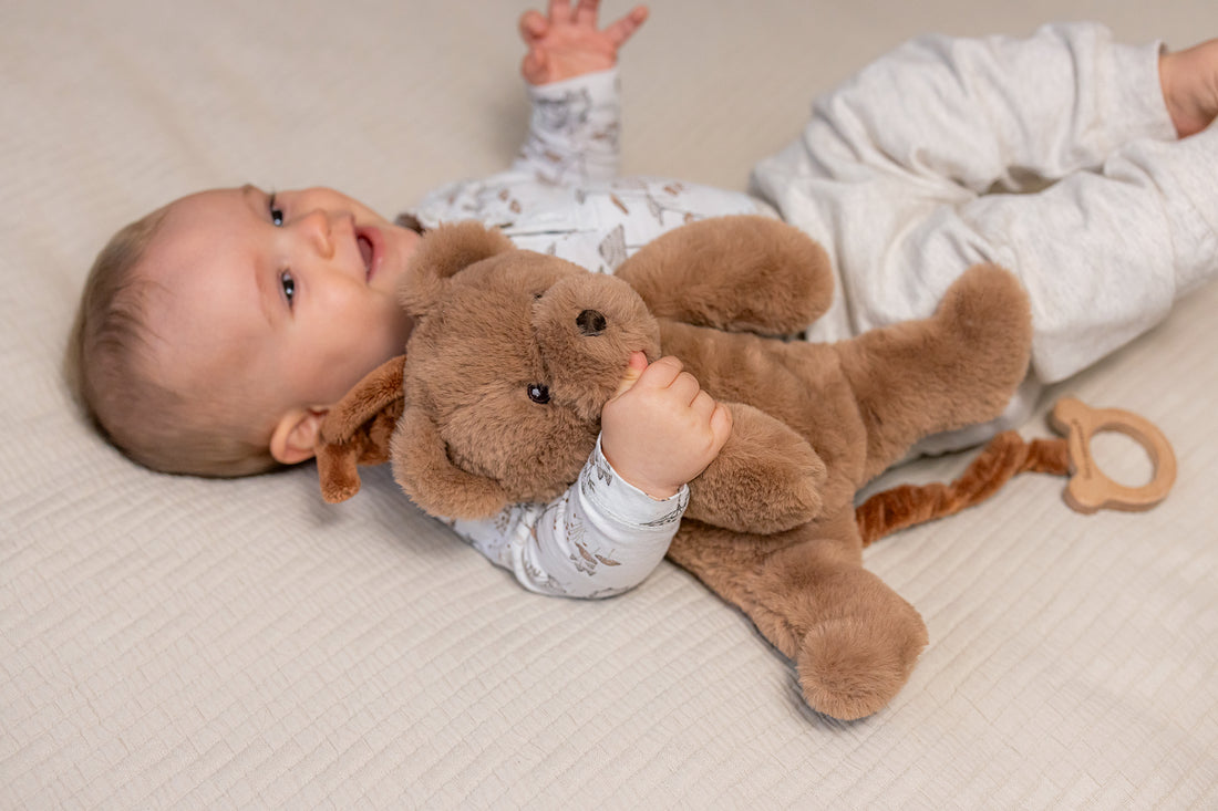 Brun musik bamse bjørn på 37 cm med trækstrop til babyer.