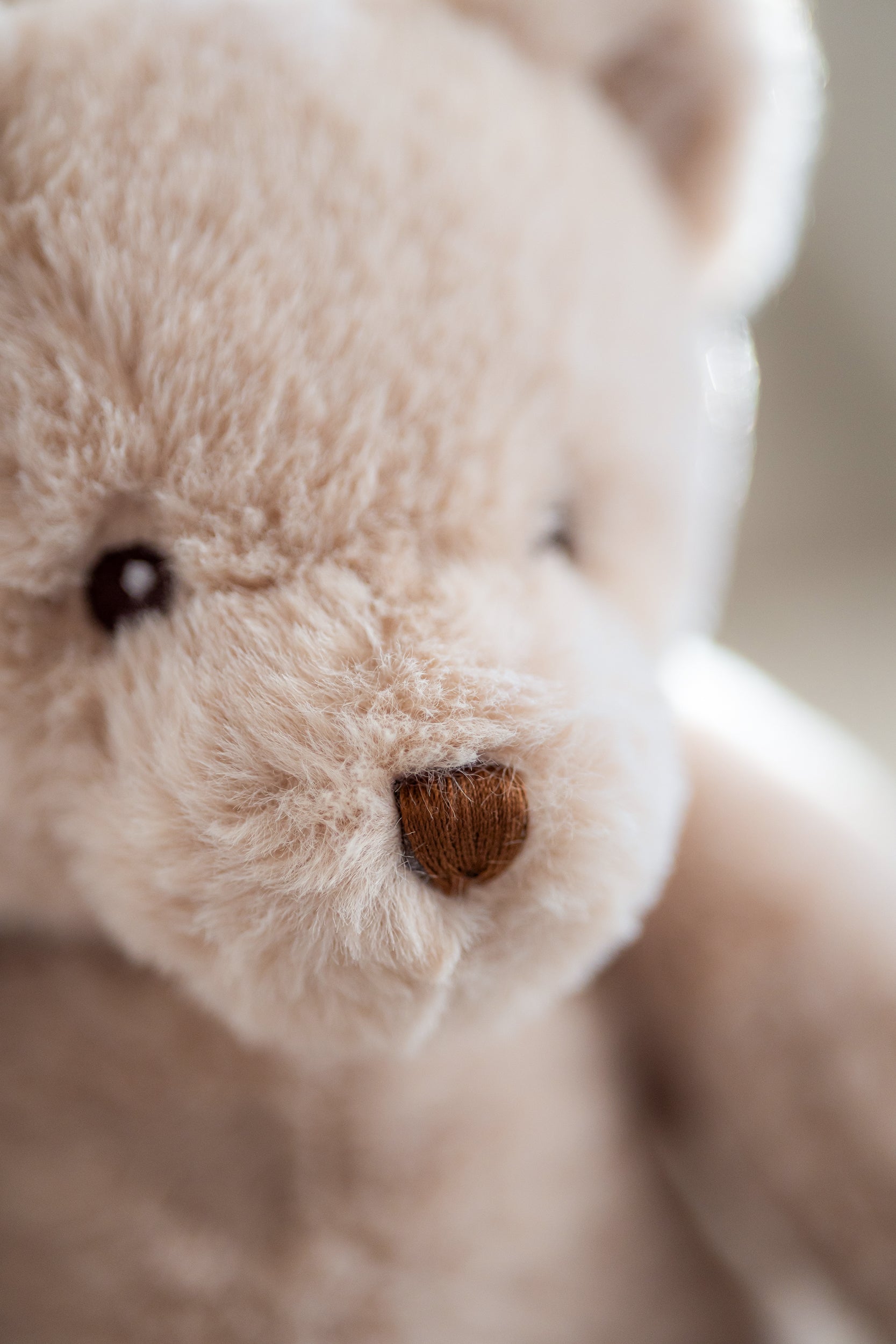 Nærbillede af ansigtet på en blød beige bamse spilledåse til børn.