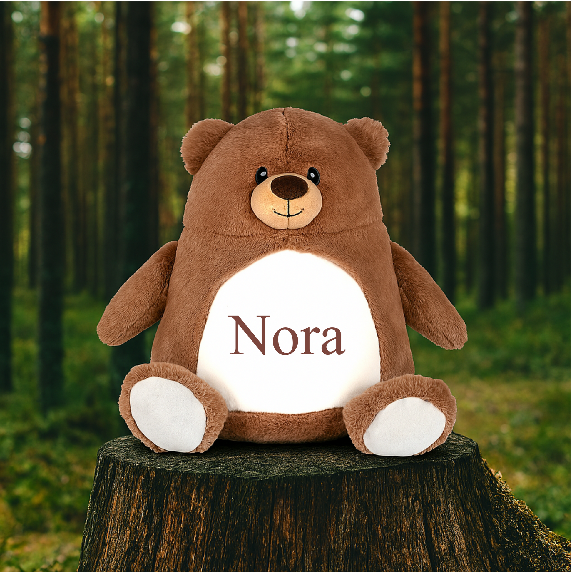 Brun bjørne bamse med broderet navn Customizer TeeInBlue