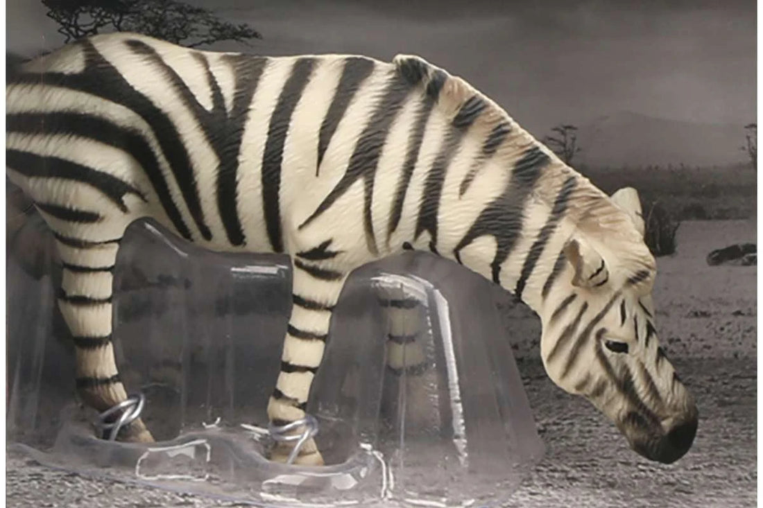 Animal Universe Zebra åben æske vestergaard