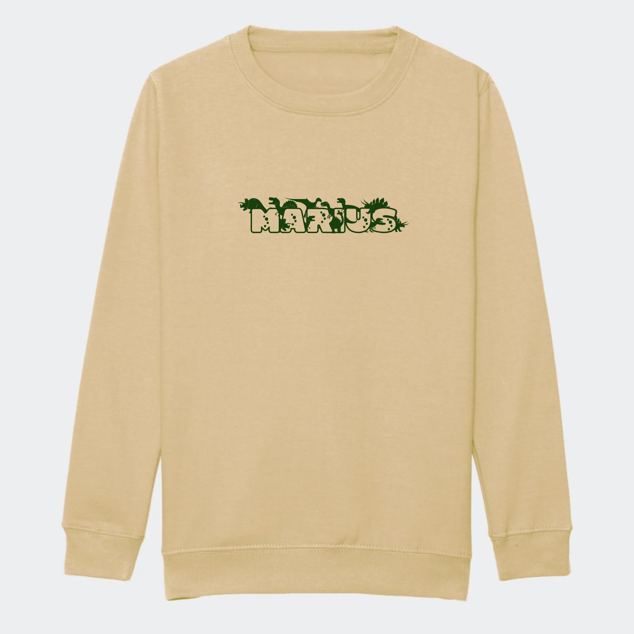 desert sand front