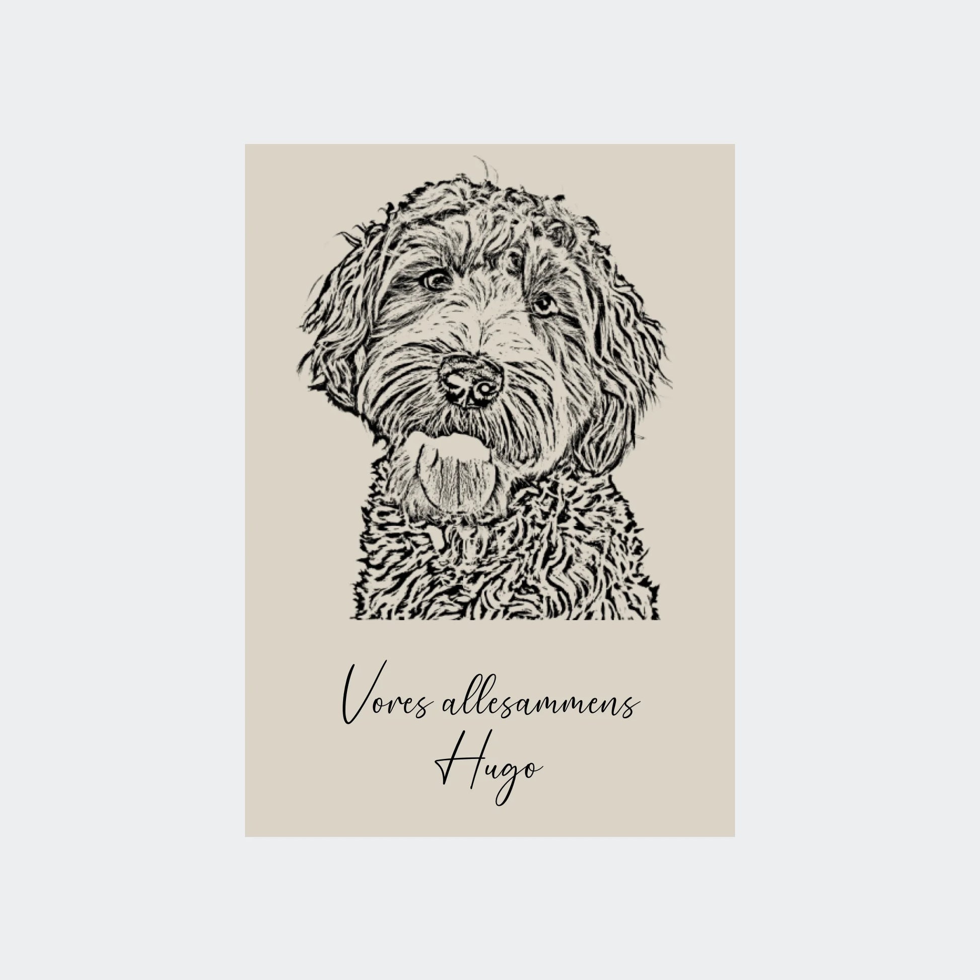 Produktbilleder til hjemmsiden (1)