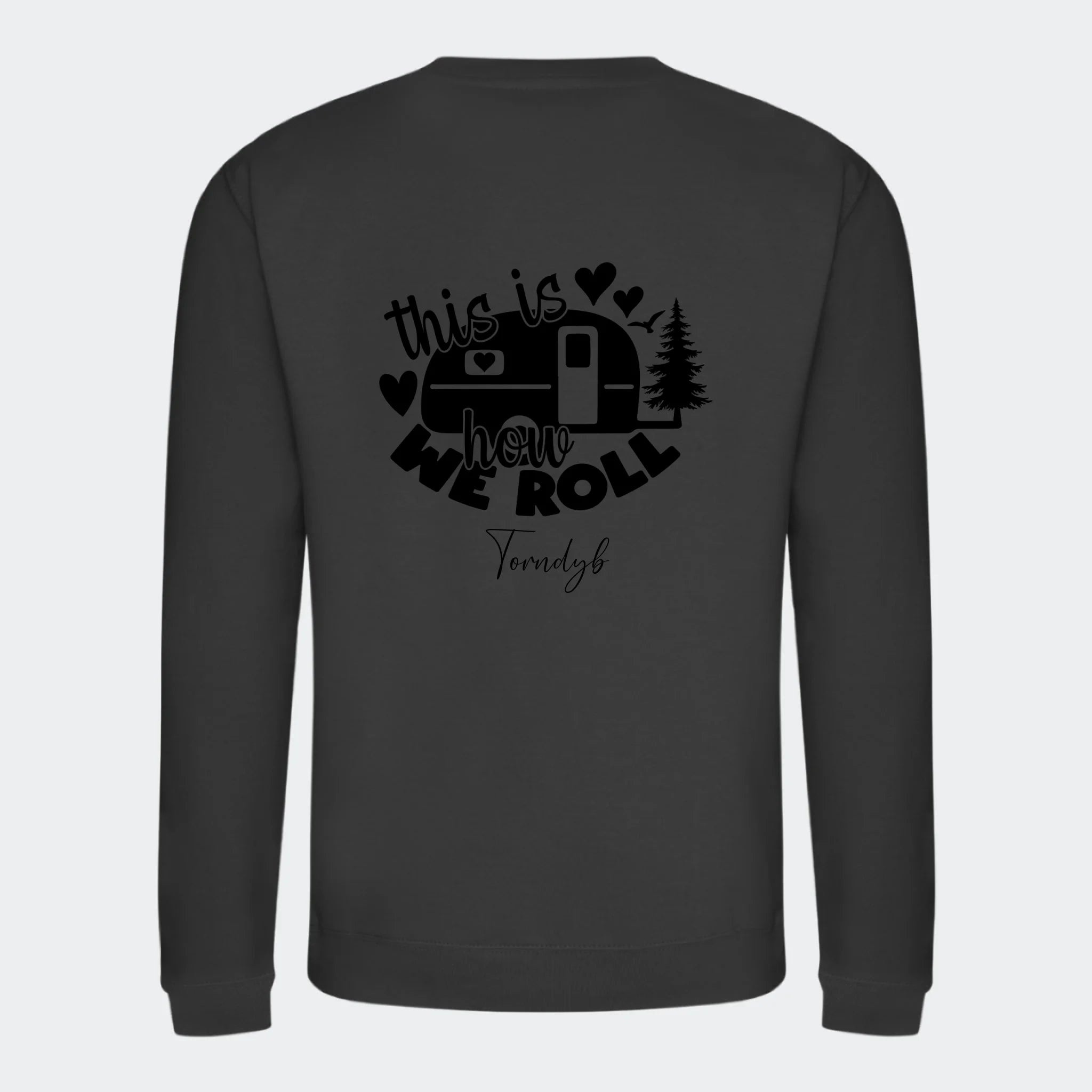 Sweatshirts Camping 2, stormgrå, set bagfra
