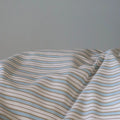 Sky-blue-stripe-room-5_7648e31d-ecb9-4b0d-9a22-3612d9176d62