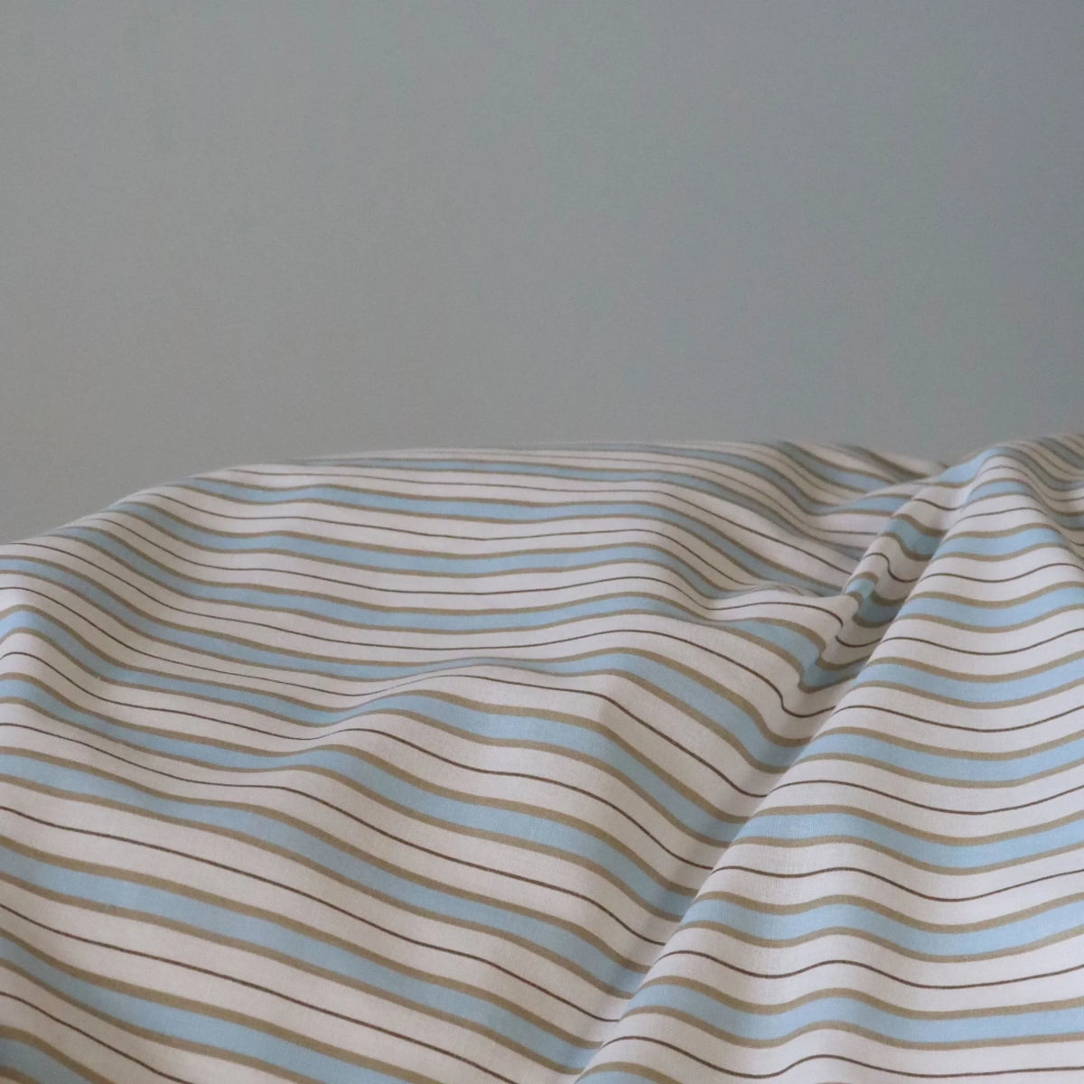 Sky-blue-stripe-room-5_7648e31d-ecb9-4b0d-9a22-3612d9176d62