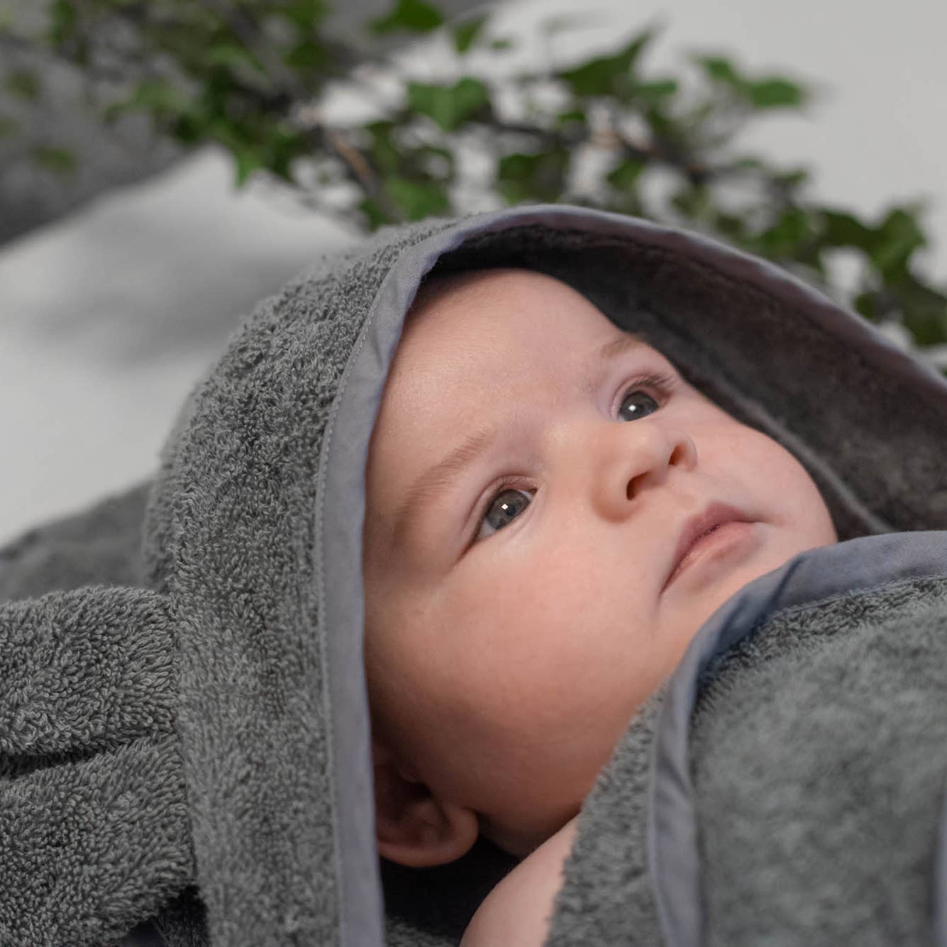 Baby indpakket i gråt økologisk håndklæde med hætte og kaninører