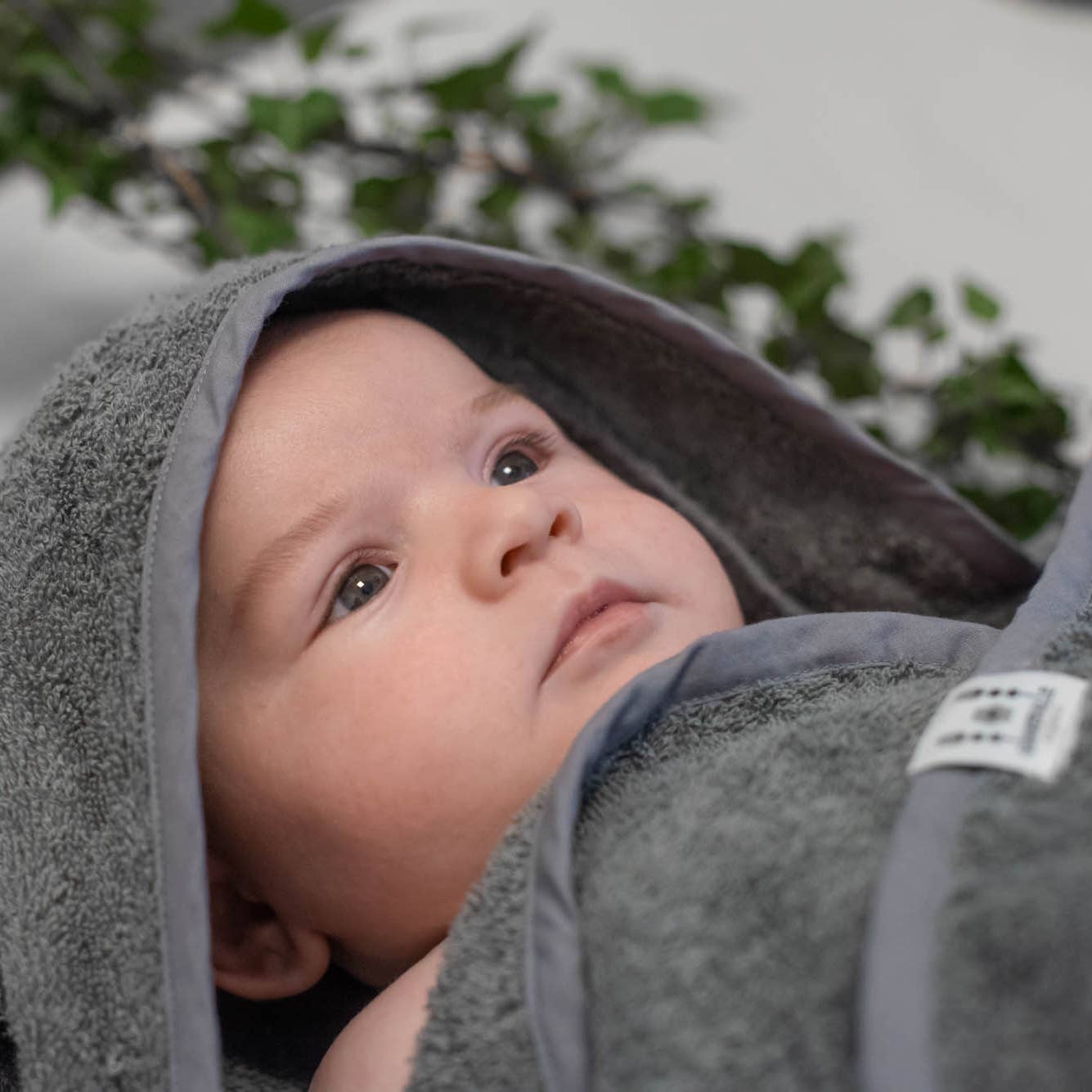 Baby i gråt økologisk badehåndklæde med hætte og ører, tæt på