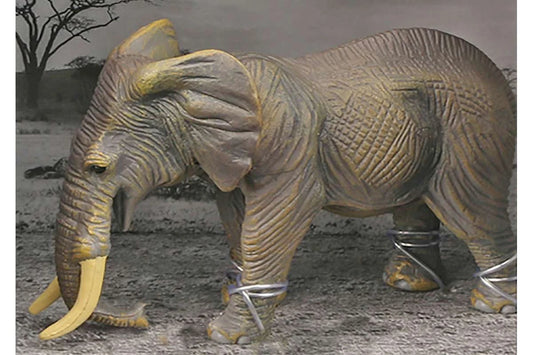 Animal Universe Elefant i åben æske Legetøj vestergaard