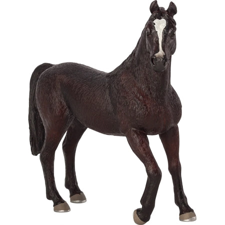 Mojo Arabisk Hingst, sort