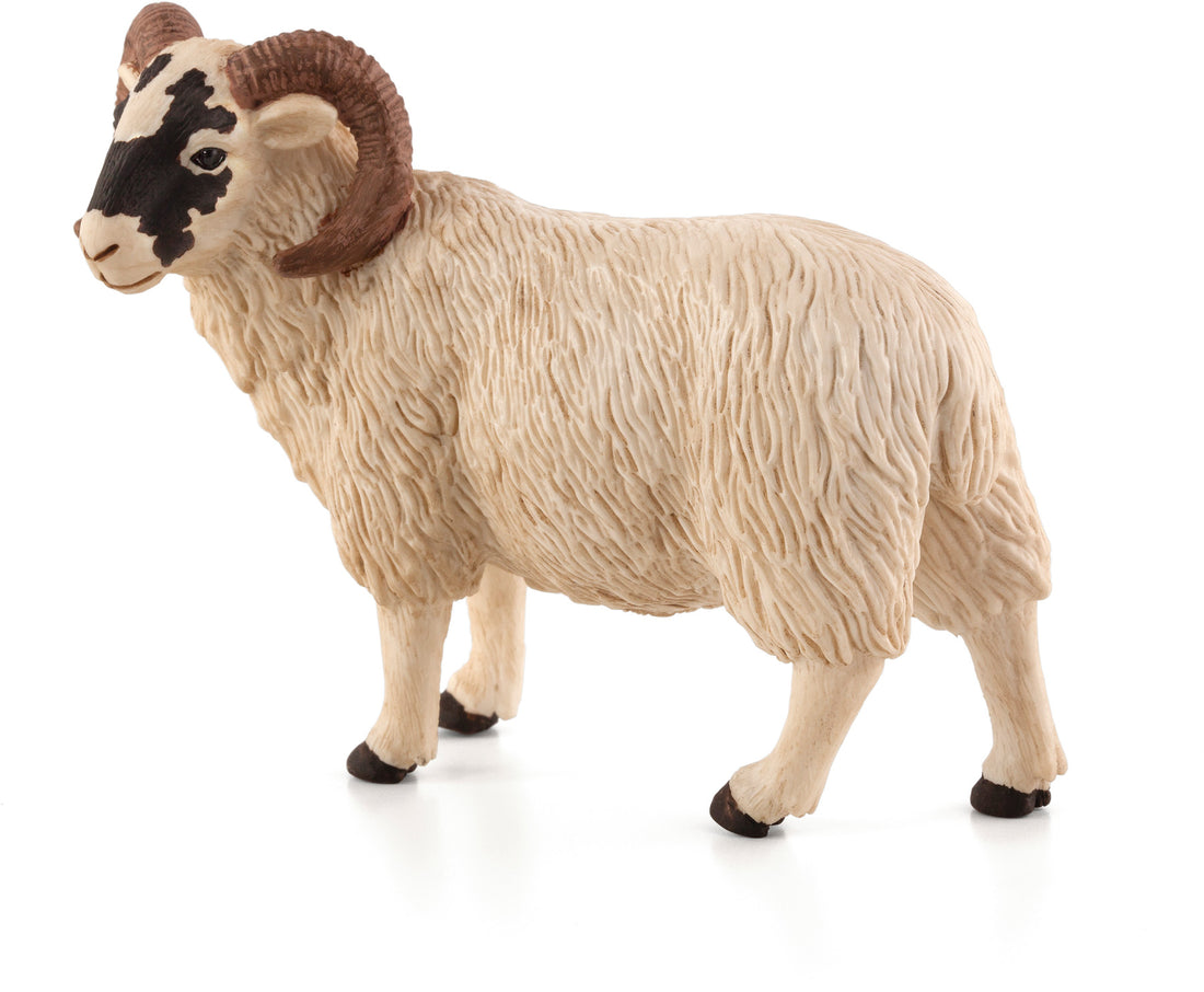 Mojo Vædder med sort hovedet Alm produkt mojo