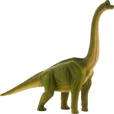 Mojo Brachiosaurus 123Unik Default Title