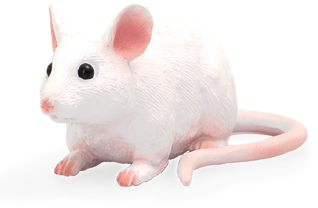 Mojo Mus Alm produkt mojo