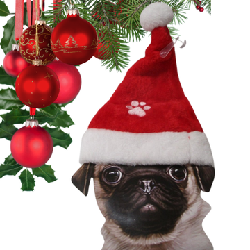 Nissehue til lille hund jul Min Egen Verden.dk